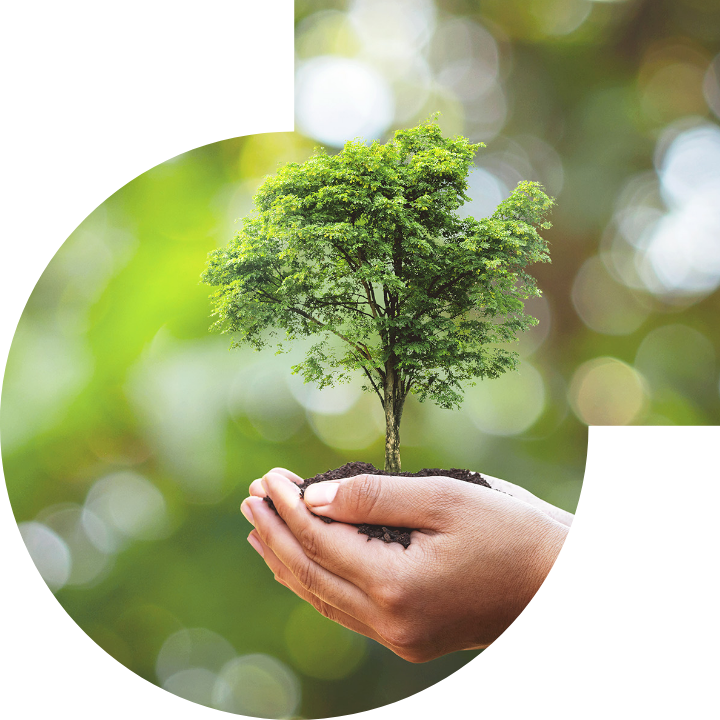 关怀人类、文化、环境与社会